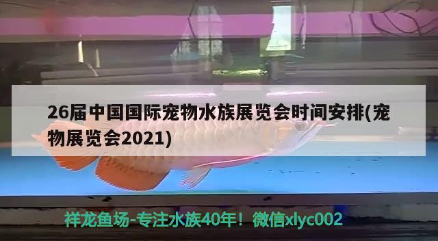 26届中国国际宠物水族展览会时间安排(宠物展览会2021)