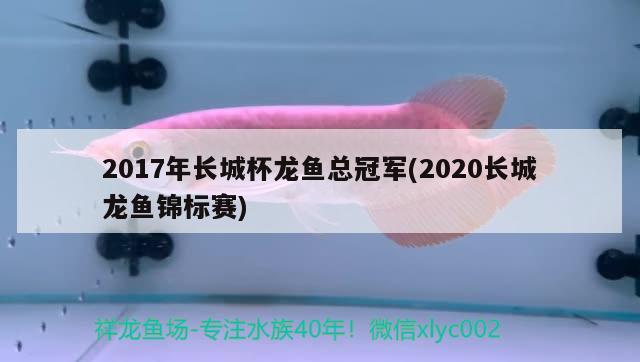 2017年长城杯龙鱼总冠军(2020长城龙鱼锦标赛)