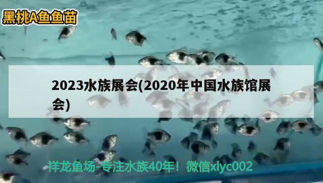 2023水族展会(2020年中国水族馆展会)