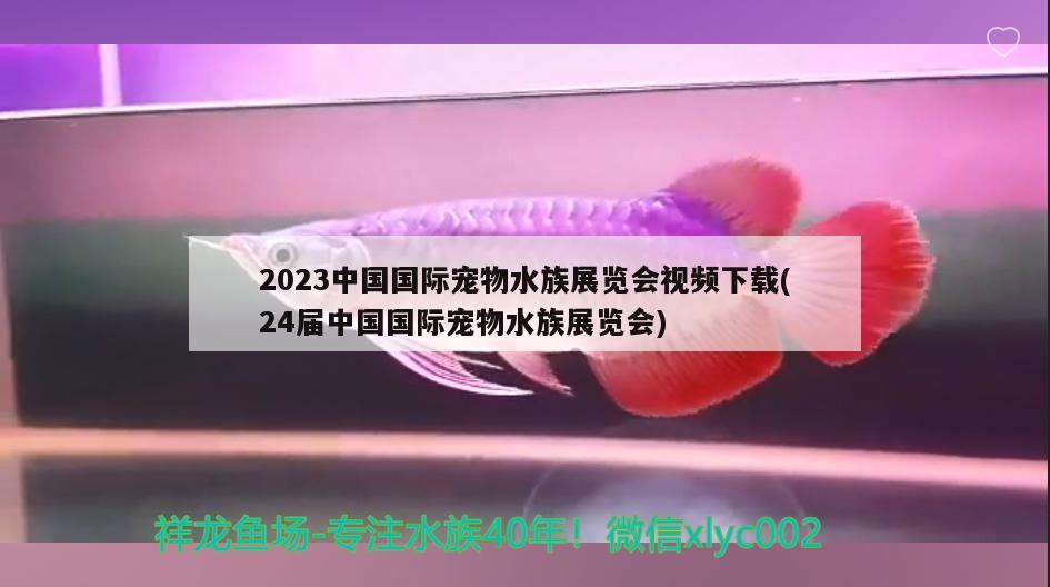 2023中国国际宠物水族展览会视频下载(24届中国国际宠物水族展览会)