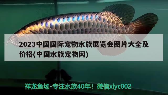 2023中国国际宠物水族展览会图片大全及价格(中国水族宠物网) 水族展会