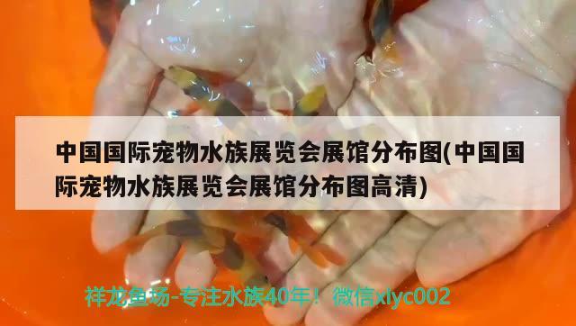 中国国际宠物水族展览会展馆分布图(中国国际宠物水族展览会展馆分布图高清) 水族展会