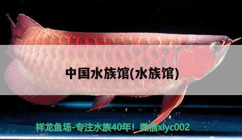 中国水族馆(水族馆) 2024第28届中国国际宠物水族展览会CIPS（长城宠物展2024 CIPS）