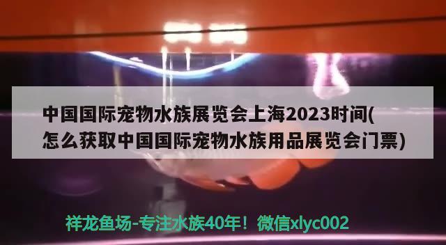 中国国际宠物水族展览会上海2023时间(怎么获取中国国际宠物水族用品展览会门票) 水族展会