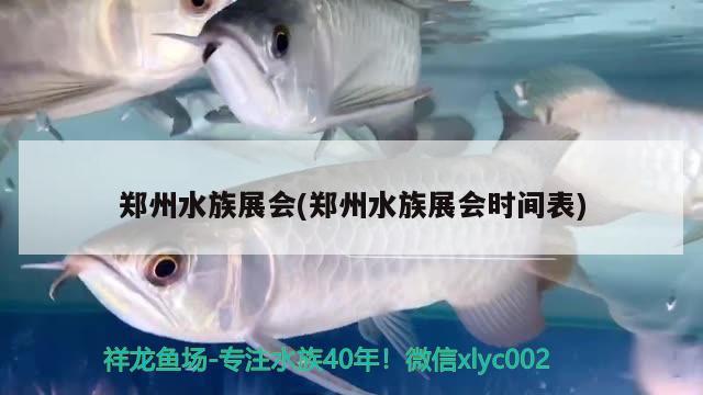 郑州水族展会(郑州水族展会时间表)