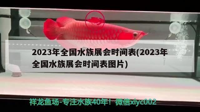 2023年全国水族展会时间表(2023年全国水族展会时间表图片) 水族展会 第2张