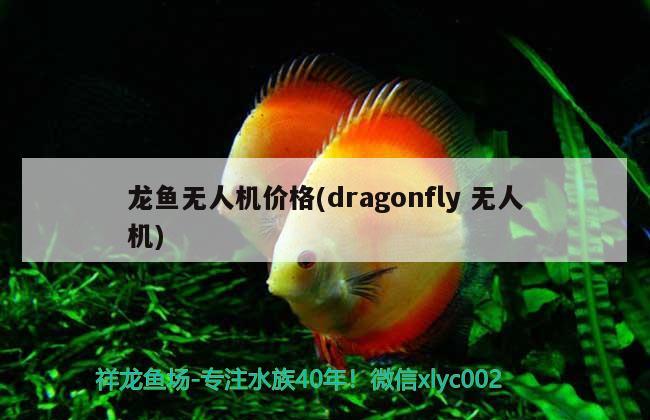 龙鱼无人机价格(dragonfly无人机)