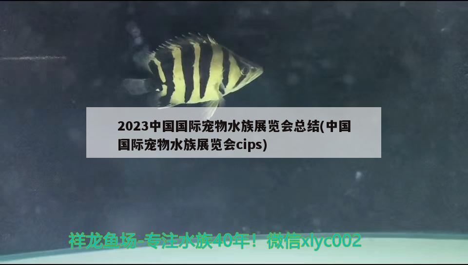 2023中国国际宠物水族展览会总结(中国国际宠物水族展览会cips)