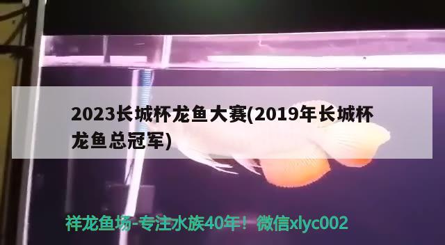 2023长城杯龙鱼大赛(2019年长城杯龙鱼总冠军)