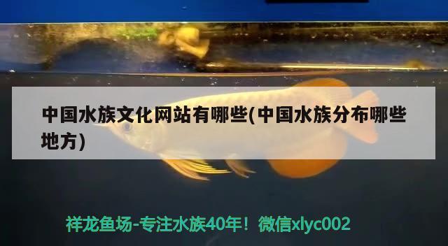 中国水族文化网站有哪些(中国水族分布哪些地方) 2024第28届中国国际宠物水族展览会CIPS（长城宠物展2024 CIPS） 第1张