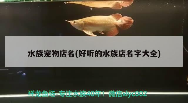 水族宠物店名(好听的水族店名字大全) 2024第28届中国国际宠物水族展览会CIPS（长城宠物展2024 CIPS）