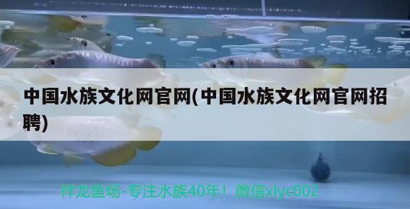 中国水族文化网官网(中国水族文化网官网招聘)