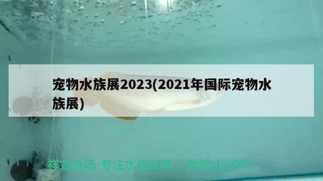 宠物水族展2023(2021年国际宠物水族展)