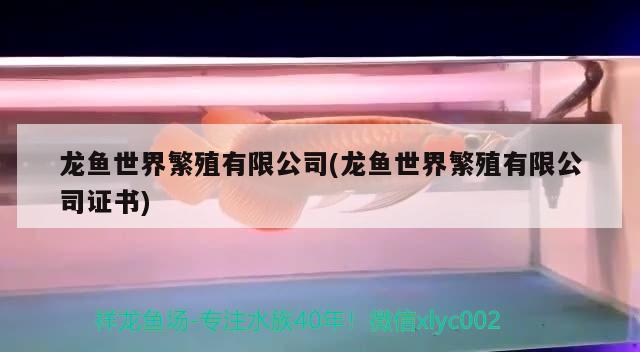 龙鱼世界繁殖有限公司(龙鱼世界繁殖有限公司证书) 2024第28届中国国际宠物水族展览会CIPS（长城宠物展2024 CIPS）