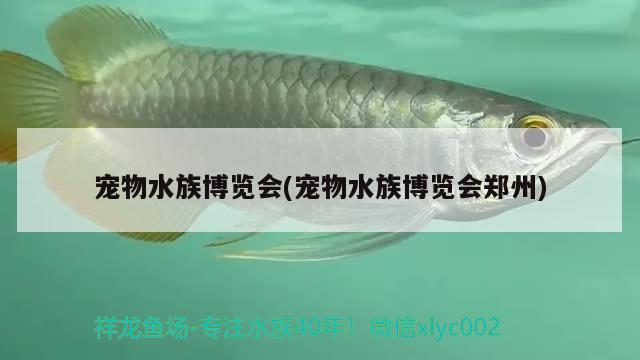 宠物水族博览会(宠物水族博览会郑州) 2024第28届中国国际宠物水族展览会CIPS（长城宠物展2024 CIPS）