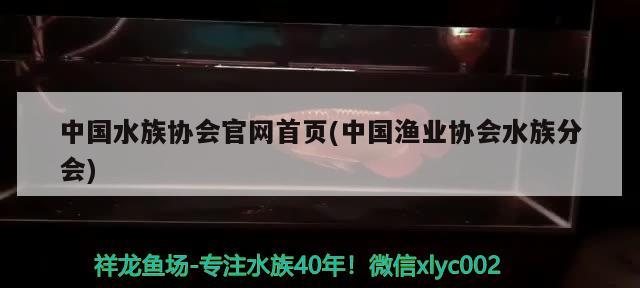 中国水族协会官网首页(中国渔业协会水族分会) 2024第28届中国国际宠物水族展览会CIPS（长城宠物展2024 CIPS）