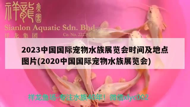 2023中国国际宠物水族展览会时间及地点图片(2020中国国际宠物水族展览会)