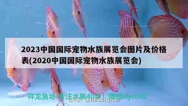 2023中国国际宠物水族展览会图片及价格表(2020中国国际宠物水族展览会) 水族展会