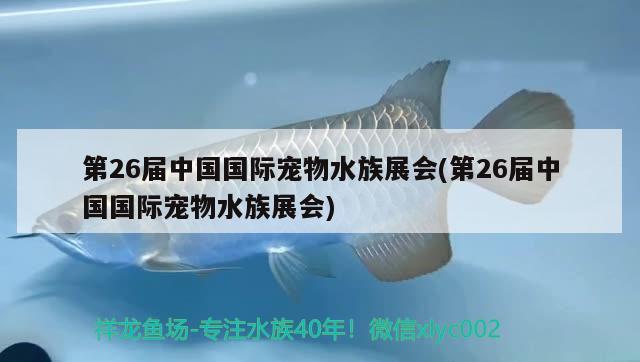 第26届中国国际宠物水族展会(第26届中国国际宠物水族展会) 水族展会 第1张