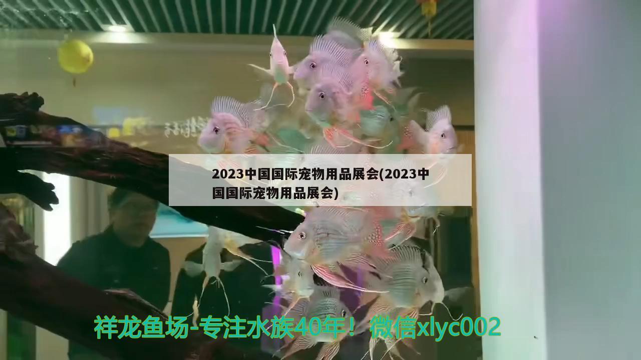 2023中国国际宠物用品展会(2023中国国际宠物用品展会)