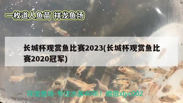 长城杯观赏鱼比赛2023(长城杯观赏鱼比赛2020冠军) 2024第28届中国国际宠物水族展览会CIPS（长城宠物展2024 CIPS）