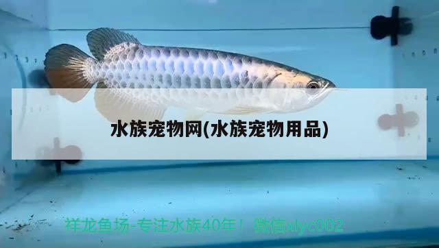 水族宠物网(水族宠物用品) 2024第28届中国国际宠物水族展览会CIPS（长城宠物展2024 CIPS）