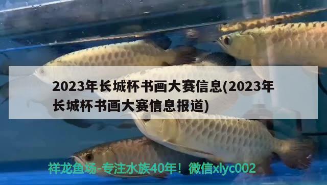 2023年长城杯书画大赛信息(2023年长城杯书画大赛信息报道)