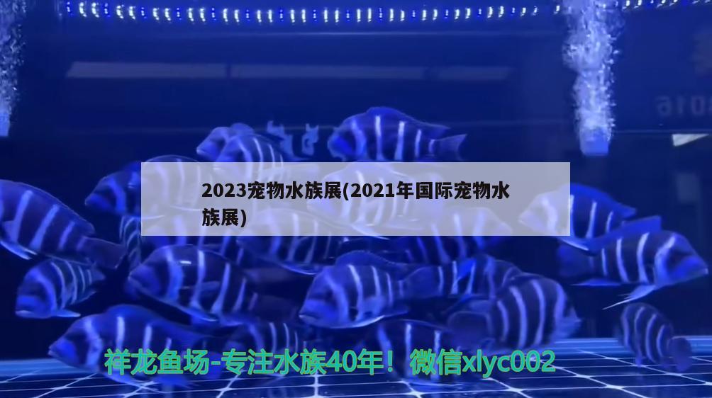 2023宠物水族展(2021年国际宠物水族展) 水族展会