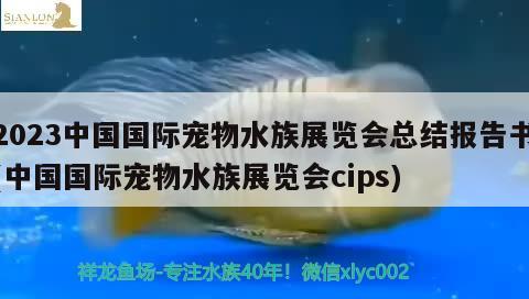 2023中国国际宠物水族展览会总结报告书(中国国际宠物水族展览会cips) 水族展会