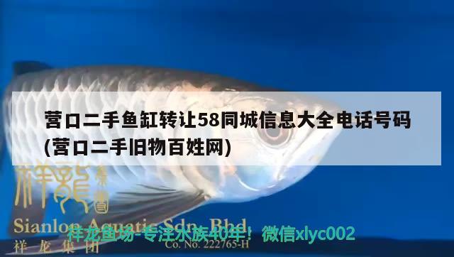 营口二手鱼缸转让58同城信息大全电话号码(营口二手旧物百姓网) 巴西亚鱼苗