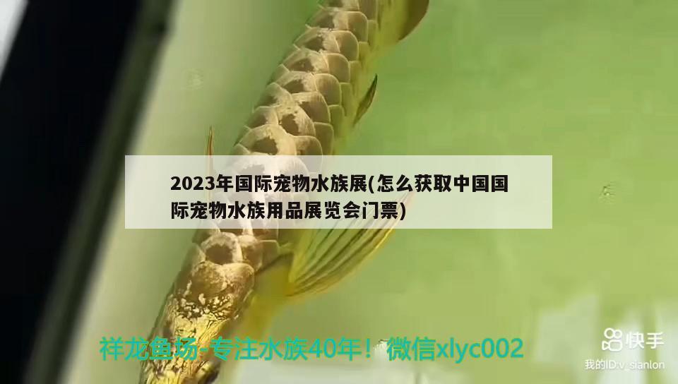 2023年国际宠物水族展(怎么获取中国国际宠物水族用品展览会门票)