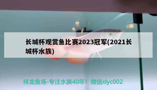 长城杯观赏鱼比赛2023冠军(2021长城杯水族) 2024第28届中国国际宠物水族展览会CIPS（长城宠物展2024 CIPS）