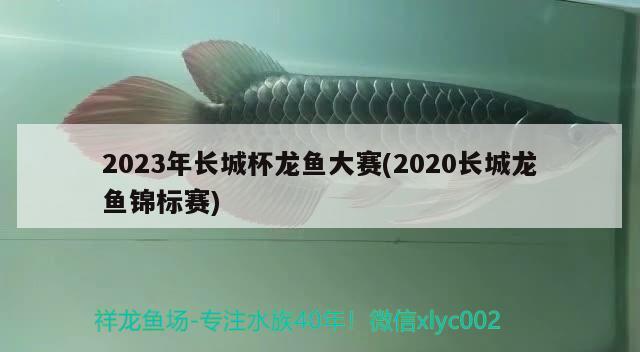 2023年长城杯龙鱼大赛(2020长城龙鱼锦标赛)