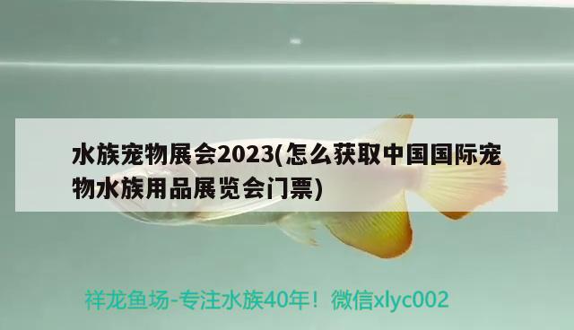 水族宠物展会2023(怎么获取中国国际宠物水族用品展览会门票)