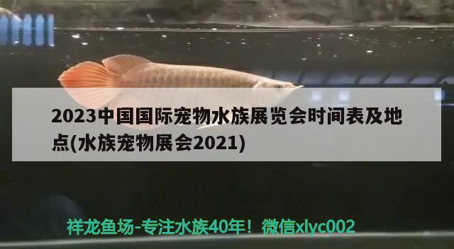 2023中国国际宠物水族展览会时间表及地点(水族宠物展会2021)