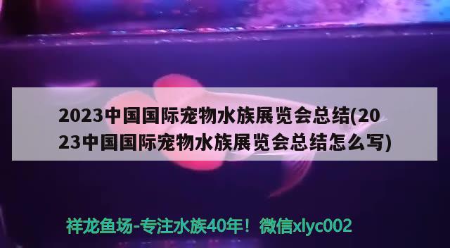 2023中国国际宠物水族展览会总结(2023中国国际宠物水族展览会总结怎么写) 水族展会