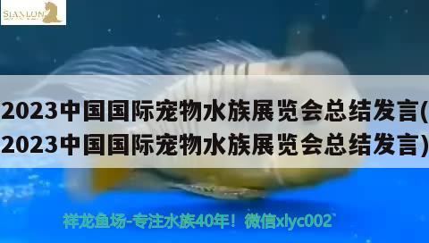 2023中国国际宠物水族展览会总结发言(2023中国国际宠物水族展览会总结发言)