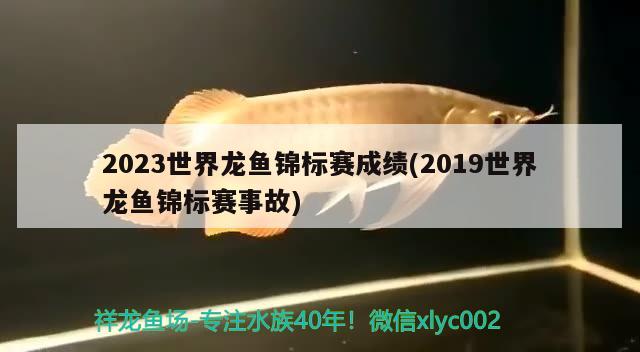 2023世界龙鱼锦标赛成绩(2019世界龙鱼锦标赛事故) 2024第28届中国国际宠物水族展览会CIPS（长城宠物展2024 CIPS） 第1张