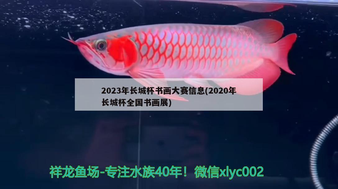 2023年长城杯书画大赛信息(2020年长城杯全国书画展)