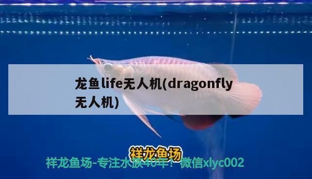 龙鱼life无人机(dragonfly无人机)