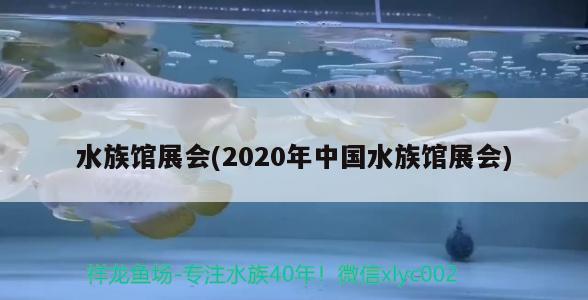 水族馆展会(2020年中国水族馆展会) 2024第28届中国国际宠物水族展览会CIPS（长城宠物展2024 CIPS）