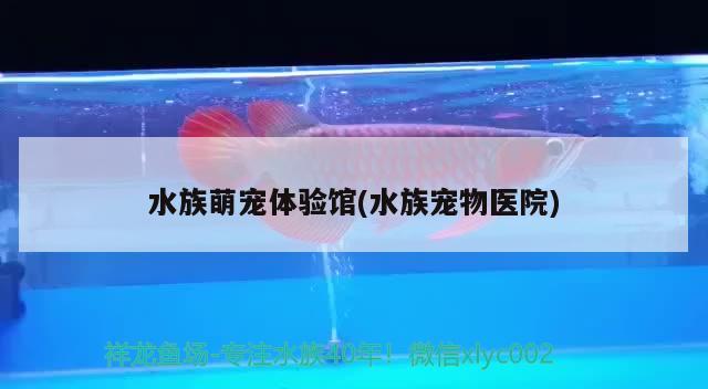 水族萌宠体验馆(水族宠物医院) 2024第28届中国国际宠物水族展览会CIPS（长城宠物展2024 CIPS）