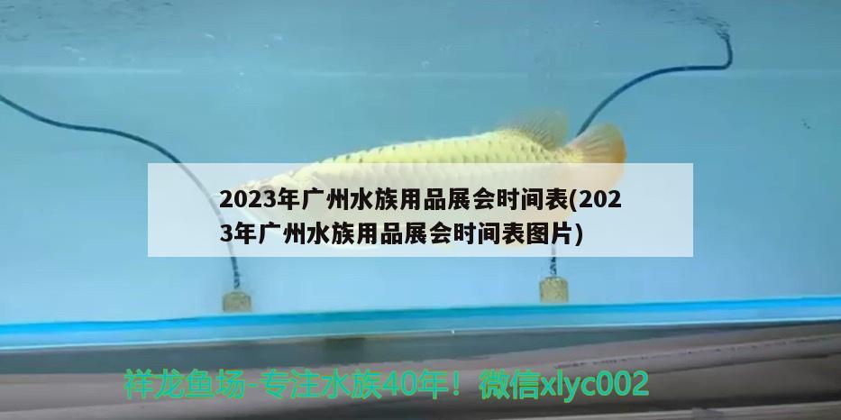 2023年广州水族用品展会时间表(2023年广州水族用品展会时间表图片)