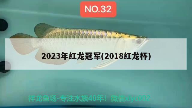 2023年红龙冠军(2018红龙杯) 2024第28届中国国际宠物水族展览会CIPS（长城宠物展2024 CIPS） 第1张