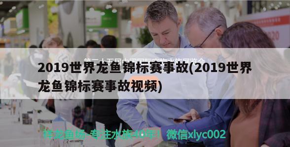 2019世界龙鱼锦标赛事故(2019世界龙鱼锦标赛事故视频) 2024第28届中国国际宠物水族展览会CIPS（长城宠物展2024 CIPS）