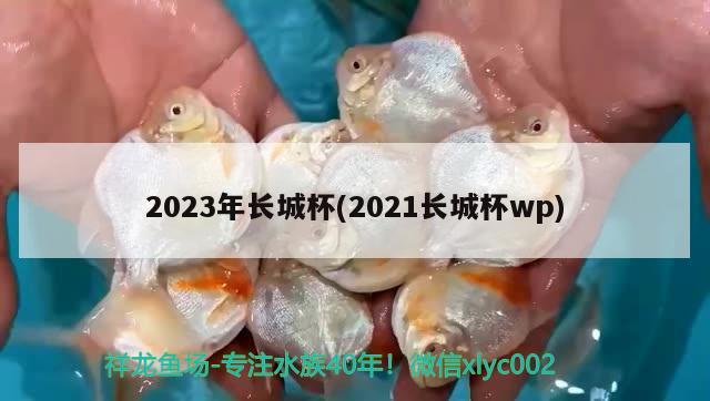 2023年长城杯(2021长城杯wp)