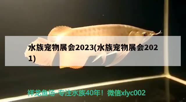 水族宠物展会2023(水族宠物展会2021)