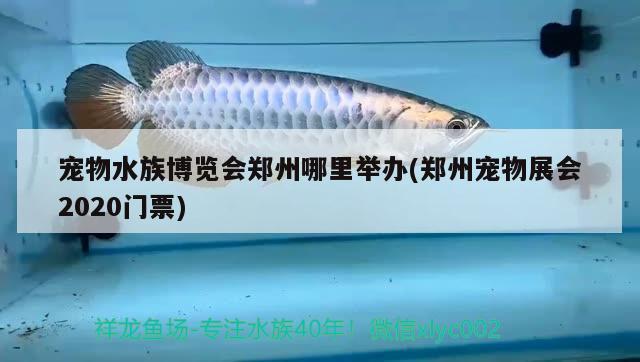 宠物水族博览会郑州哪里举办(郑州宠物展会2020门票)