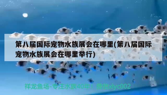 第八届国际宠物水族展会在哪里(第八届国际宠物水族展会在哪里举行)