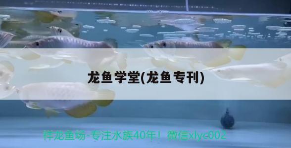 龙鱼学堂(龙鱼专刊) 2024第28届中国国际宠物水族展览会CIPS（长城宠物展2024 CIPS）